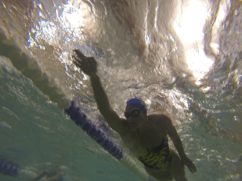 Swim team looks forward to post-season success