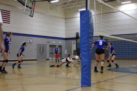 Volleyball digs in and prepares for successful season