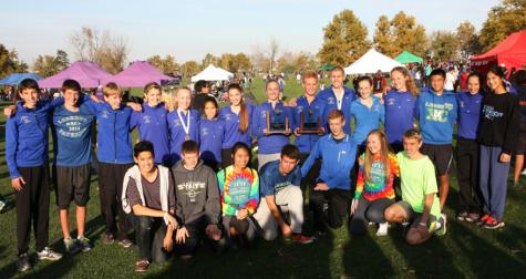 Cross country teams clinch third place finishes at State