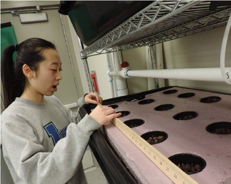 All eyes on aquaponics