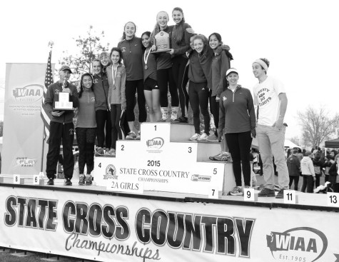 Cross country dashes into two top finishes at state