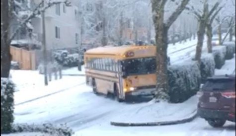 School Bus slides down Newcastle Highlands