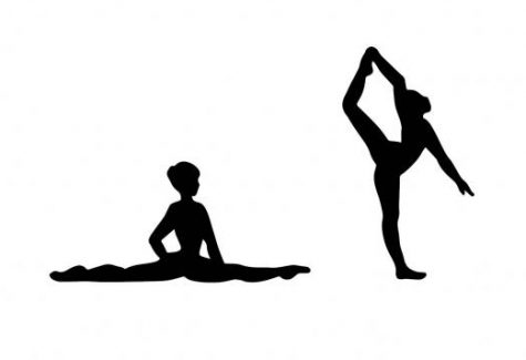 Flexibility: the most important trait of a dynamic athlete