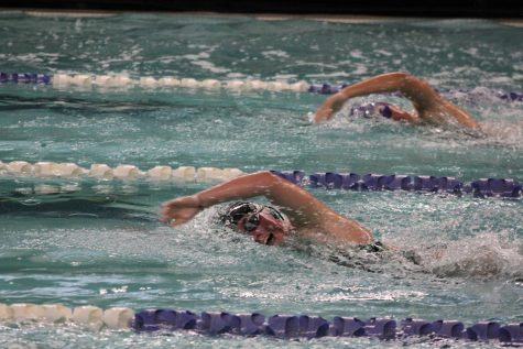 Girls swim and dive