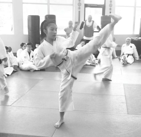 Tran: Inspiring others through taekwondo