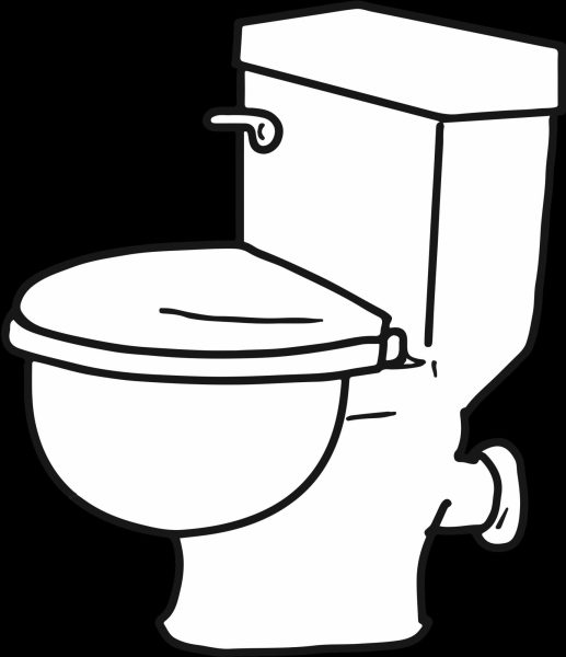 The poop scoop: Liberty bathrooms
